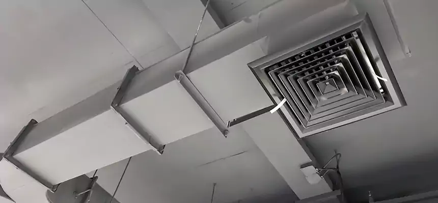 Restorative Allergy Relief Vent Cleaning – Coil, Blower & Housing Detail in Long Branch