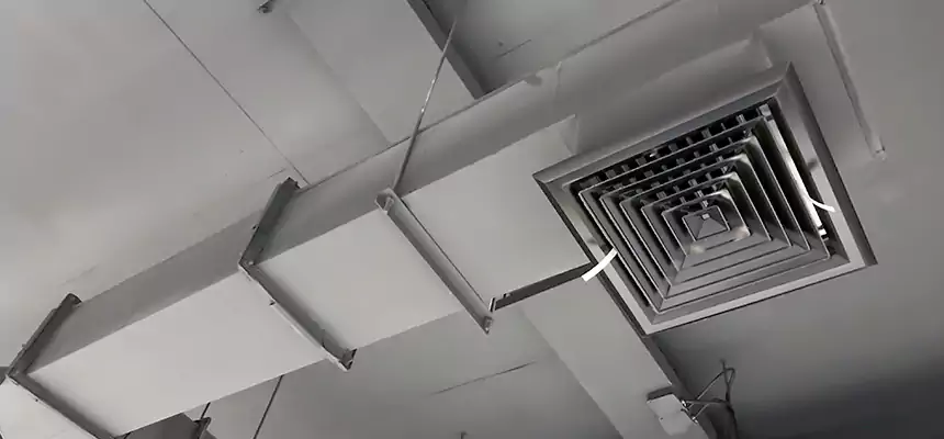 Our Rodent Droppings In Vents Services in Long Branch, NJ