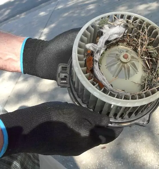 About Air Duct Rat Removal in Long Branch, NJ