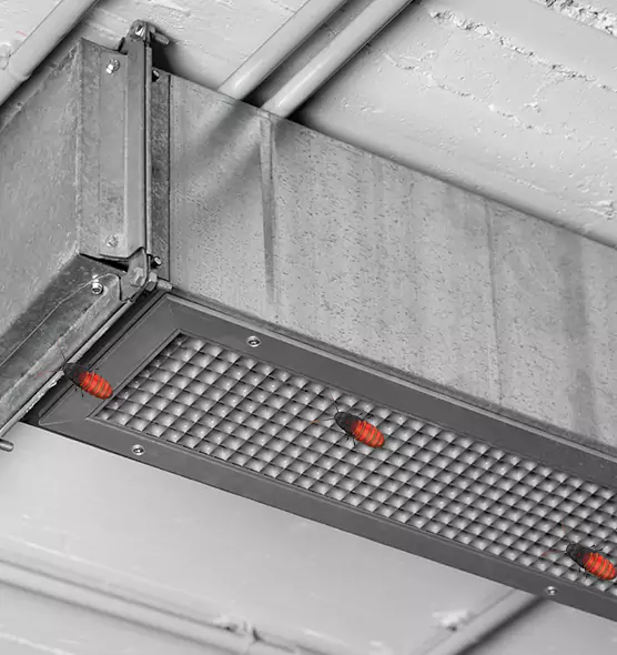 Affordable Insect Removal from Air Ducts in Long Branch, NJ