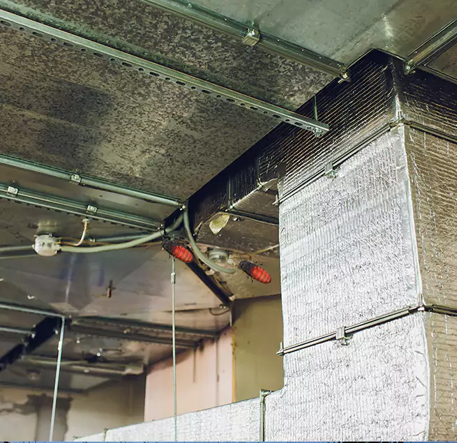 Why Homeowners & Businesses Trust Us in Long Branch, NJ?