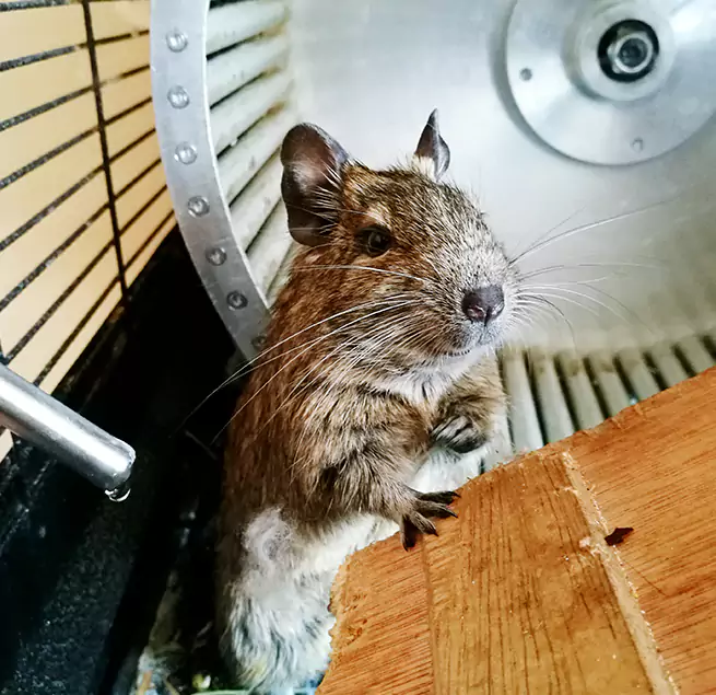 Why Homeowners & Businesses Trust Us Long Branch, NJ