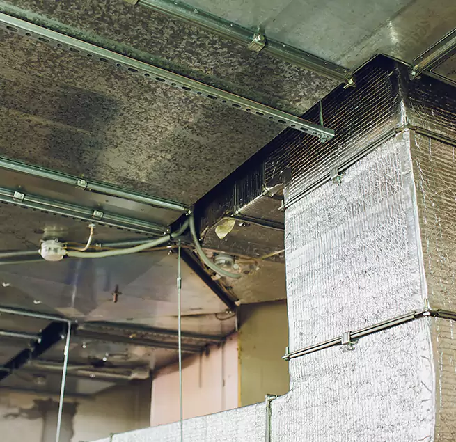 Why Homeowners & Businesses Trust Us in Long Branch, NJ?